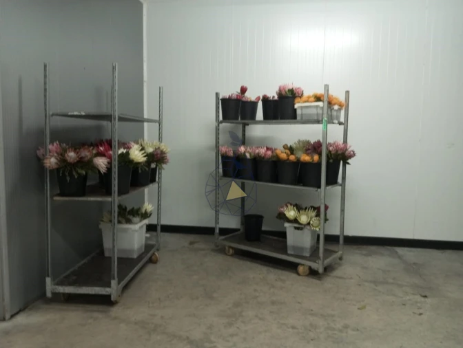 Negócio para Venda em Odeceixe Foto 36