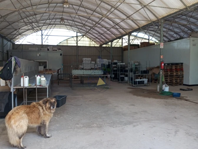 Negócio para Venda em Odeceixe Foto 38