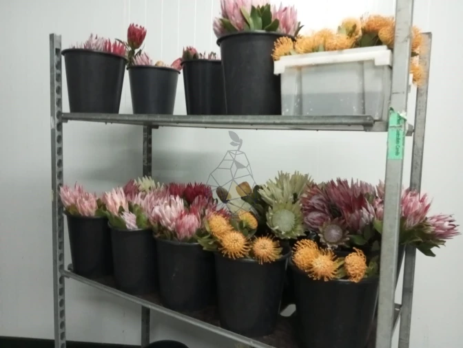 Negócio para Venda em Odeceixe Foto 3