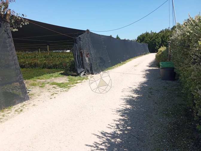 Negócio para Venda em Odeceixe Foto 20