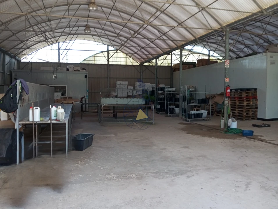 Negócio para Venda em Odeceixe Foto 1