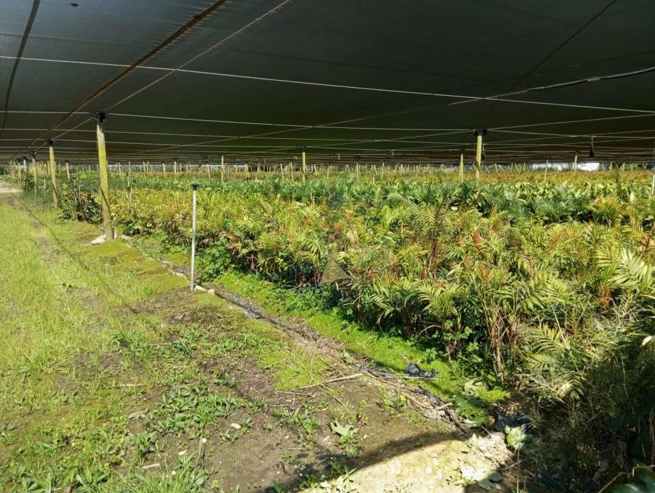 Negócio para Venda em Odeceixe Foto 19