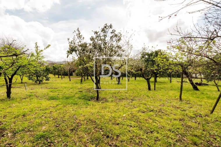 Moradia T7 para Venda em Santa Lucrécia de Algeriz e Navarra Foto 50