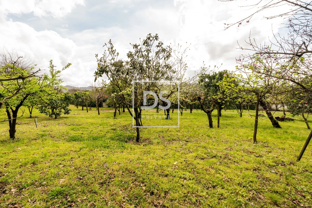 Moradia T7 para Venda em Santa Lucrécia de Algeriz e Navarra Foto 50