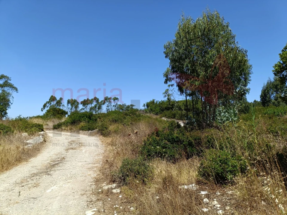 Terreno para Venda em São Bartolomeu dos Galegos e Moledo Foto 3