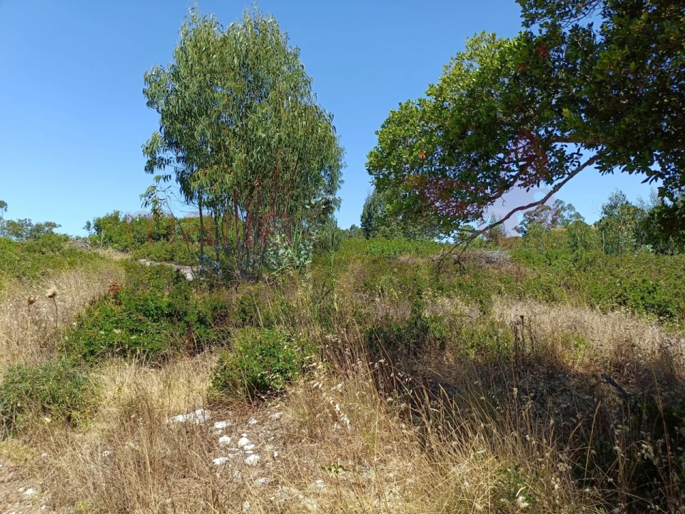 Terreno para Venda em São Bartolomeu dos Galegos e Moledo Foto 4