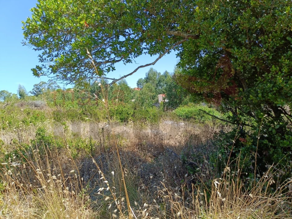 Terreno para Venda em São Bartolomeu dos Galegos e Moledo Foto 5