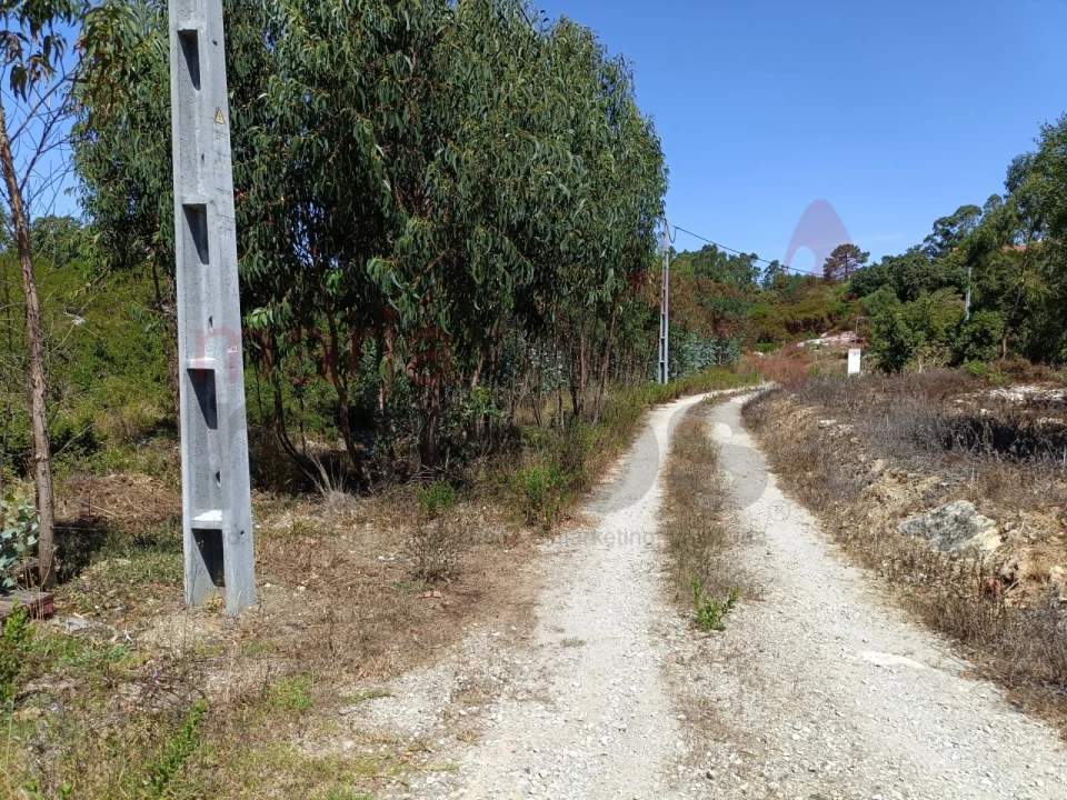 Terreno para Venda em São Bartolomeu dos Galegos e Moledo Foto 6
