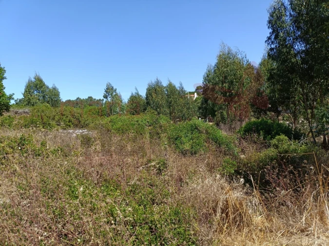 Terreno para Venda em São Bartolomeu dos Galegos e Moledo