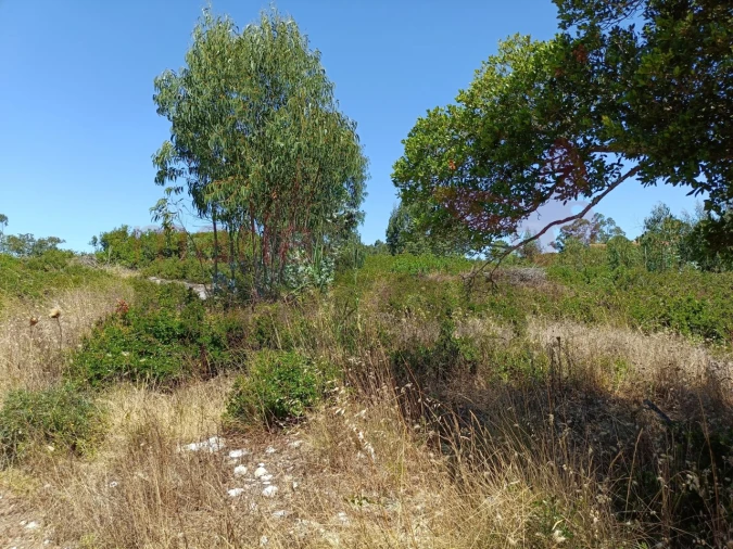 Terreno para Venda em São Bartolomeu dos Galegos e Moledo Foto 4
