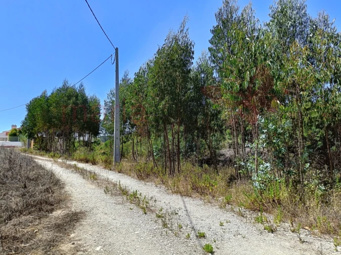 Terreno para Venda em São Bartolomeu dos Galegos e Moledo Foto 9
