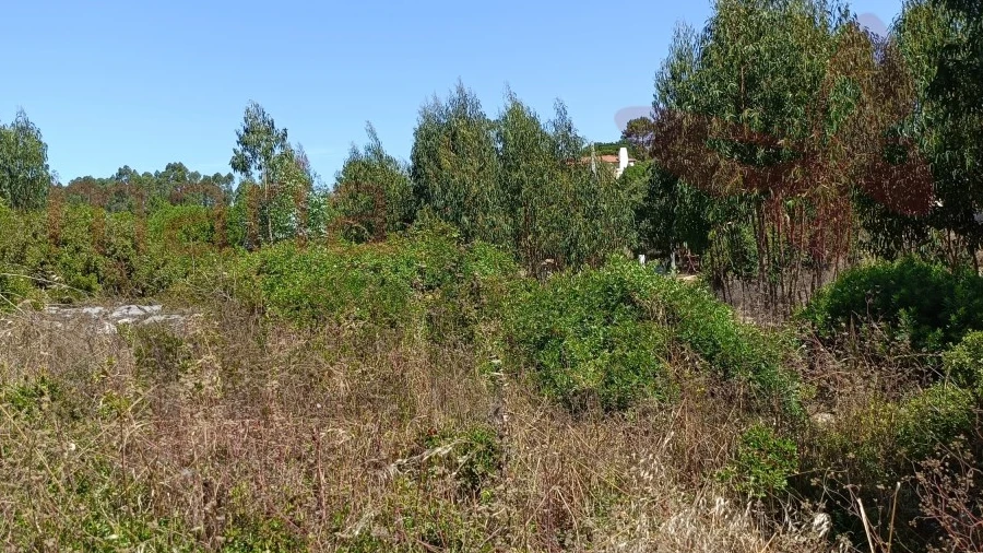 Terreno Agricola ou Rústico para Venda em São Bartolomeu dos Galegos e Moledo