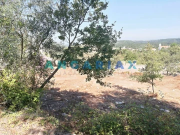 Terreno para Venda em Arrabal