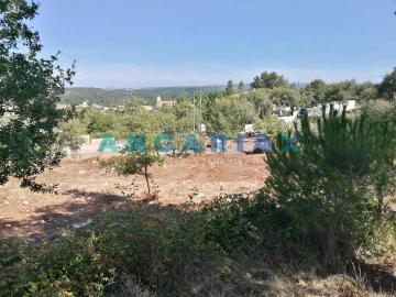 Terreno para Venda em Arrabal