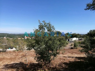 Terreno para Venda em Arrabal