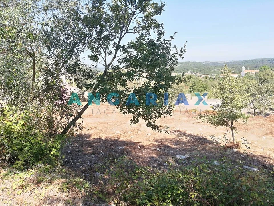 Terreno para Venda em Arrabal Foto 14