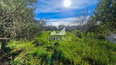 Terreno para Venda em Loule (São Clemente)