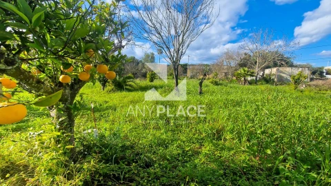 Terreno para Venda em Loule (São Clemente)