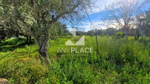 Terreno para Venda em Loule (São Clemente)