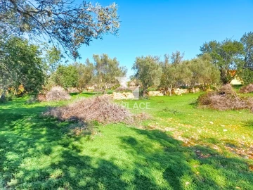 Terreno para Venda em Loule (São Clemente)