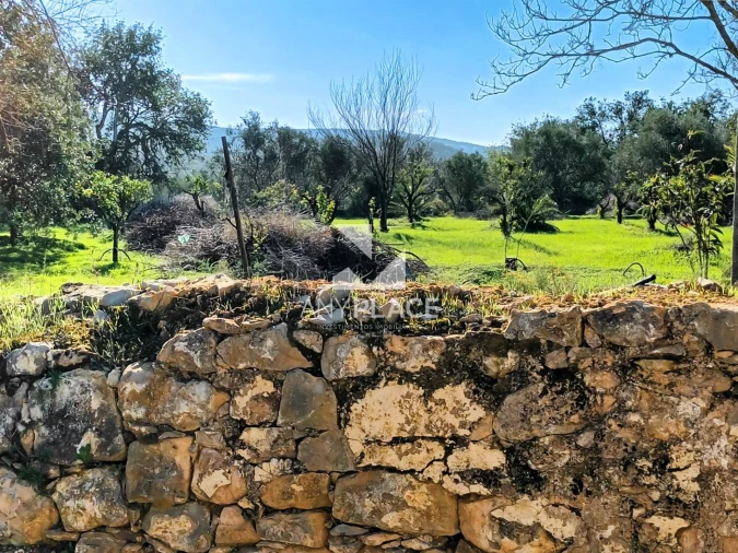 Terreno para Venda em Loule (São Clemente) Foto 8