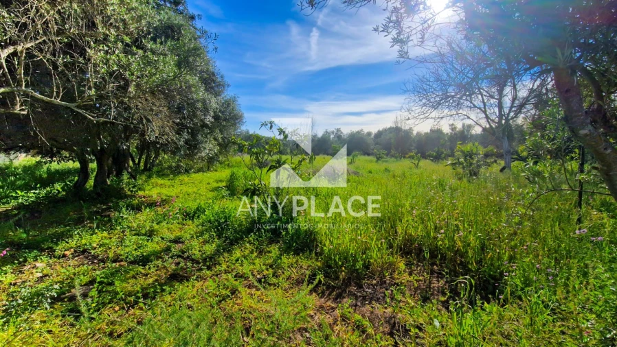 Terreno para Venda em Loule (São Clemente) Foto 2