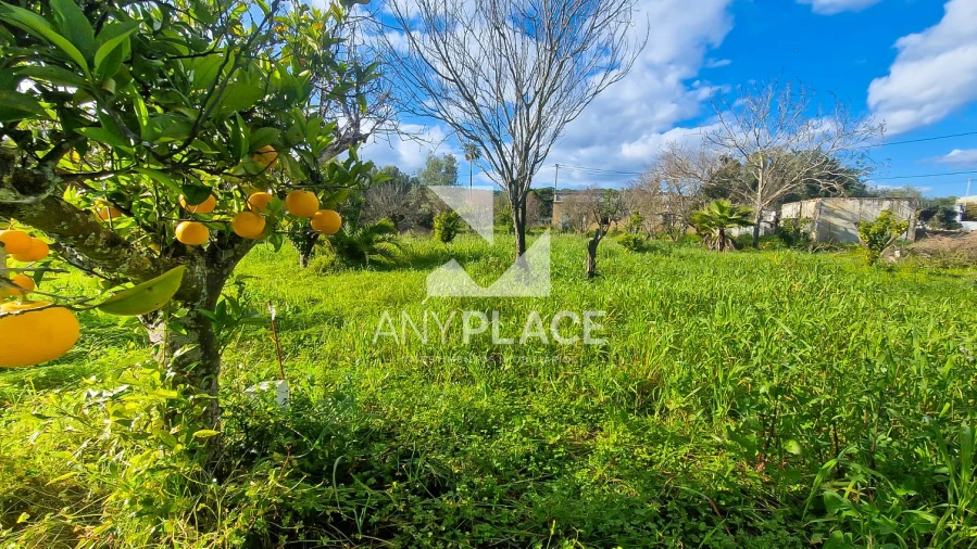 Terreno para Venda em Loule (São Clemente) Foto 11