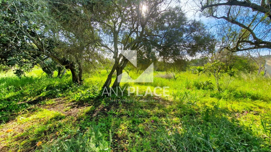 Terreno para Venda em Loule (São Clemente) Foto 13