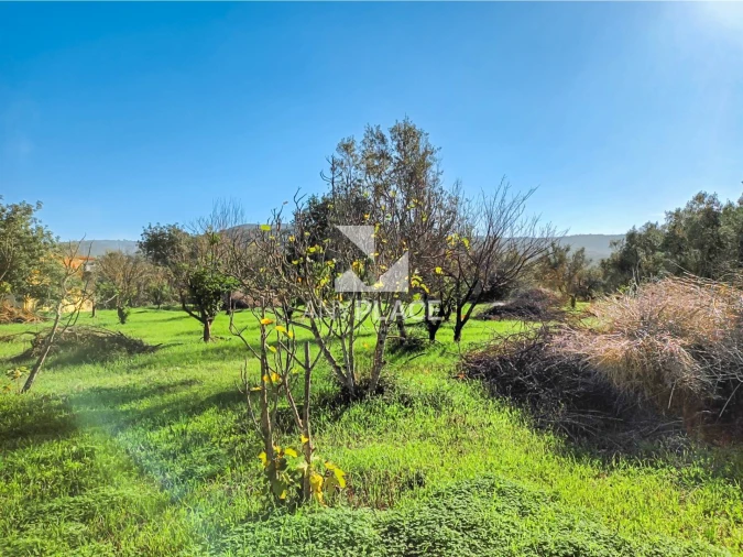 Terreno para Venda em Loule (São Clemente) Foto 6