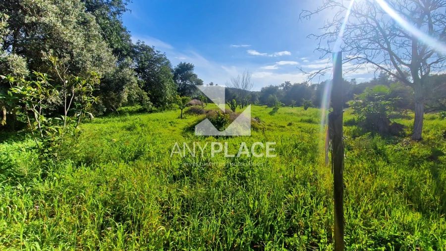 Terreno para Venda em Loule (São Clemente) Foto 20