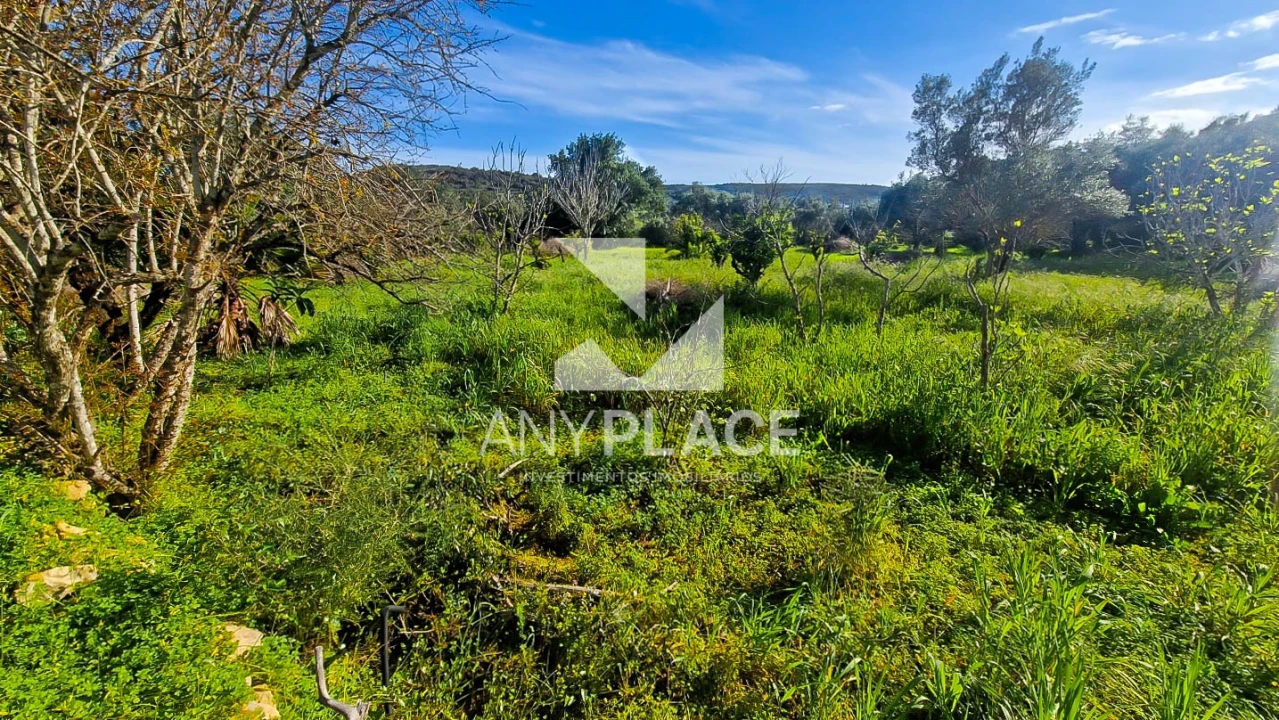 Terreno para Venda em Loule (São Clemente) Foto 21