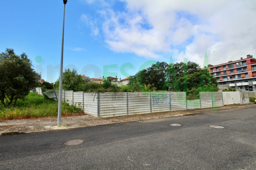 Terreno para Venda em Cartaxo e Vale da Pinta Foto 4