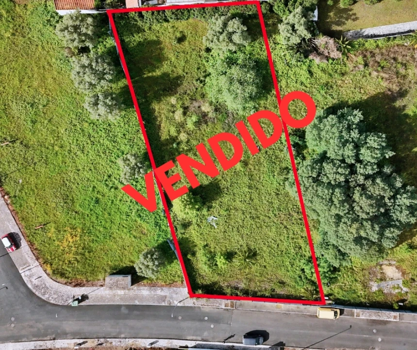 Terreno para Venda em Cartaxo e Vale da Pinta Foto 1