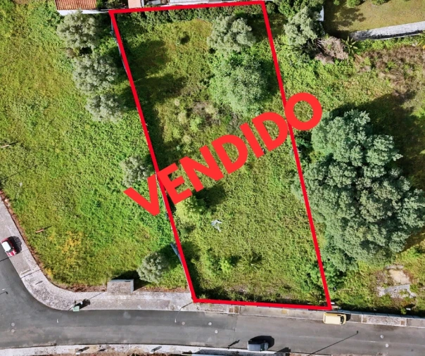 Terreno para Venda em Cartaxo e Vale da Pinta Foto 1