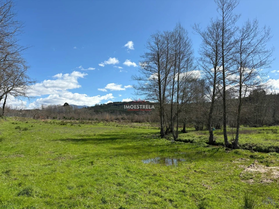 Quinta T0 para Venda em Meruge Foto 8