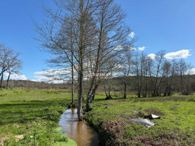 Quinta T0 para Venda em Meruge Foto 9