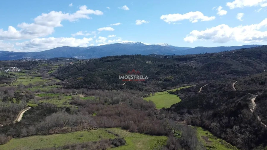 Quinta T0 para Venda em Meruge Foto 5