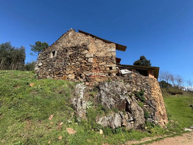 Quinta T0 para Venda em Meruge Foto 12