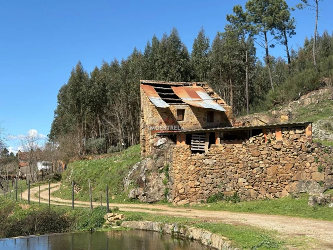 Quinta T0 para Venda em Meruge Foto 11