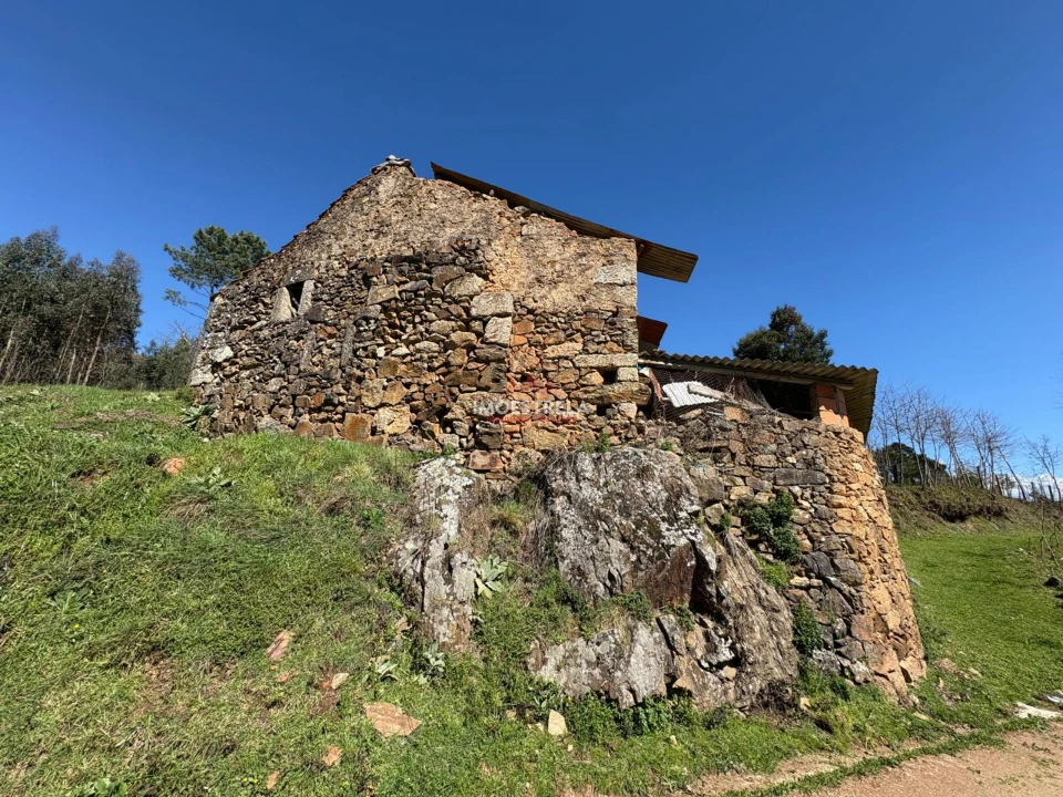 Quinta T0 para Venda em Meruge Foto 12