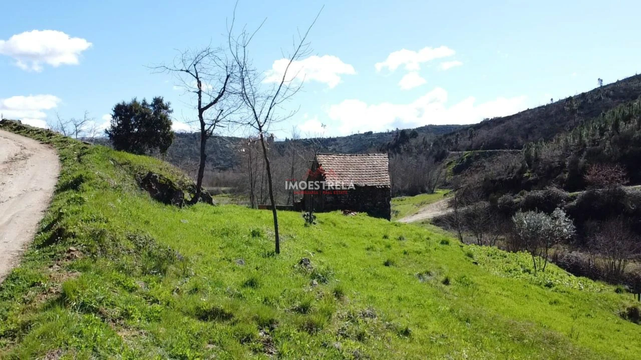 Quinta T0 para Venda em Meruge Foto 3