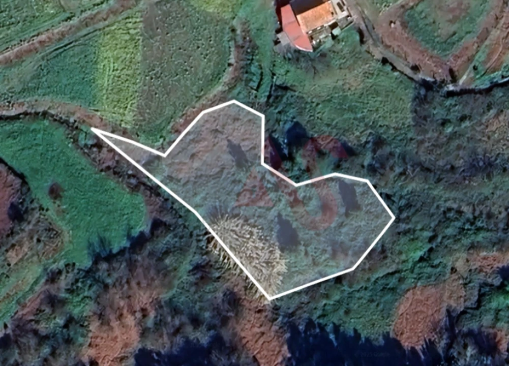 Terreno Agricola ou Rústico para Venda em Sousela Foto 1