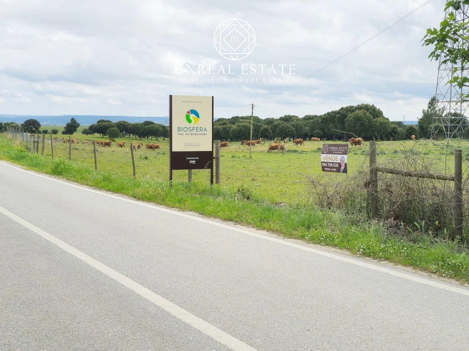 Terreno para Venda em Brogueira, Parceiros de Igreja e Alcorochel Foto 2