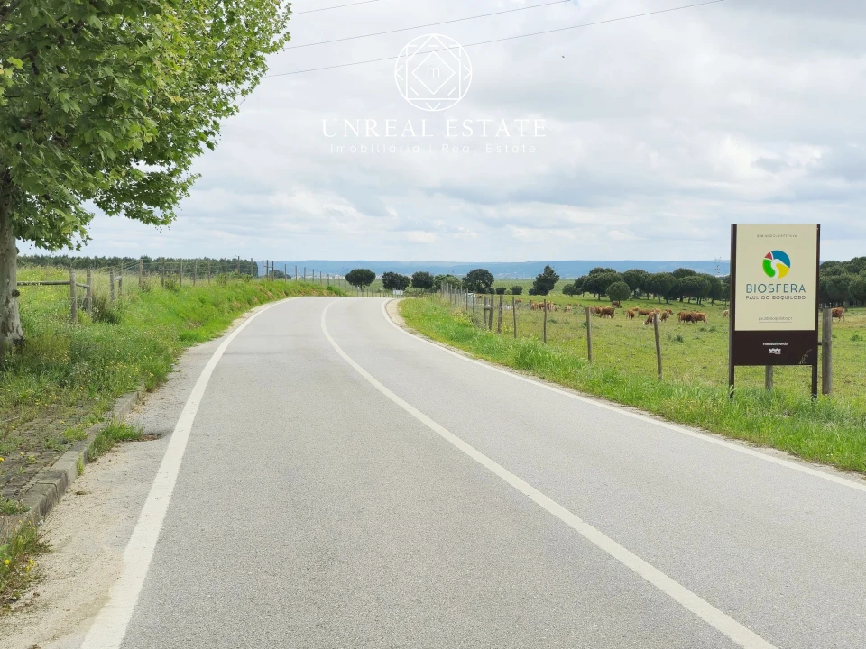Terreno para Venda em Brogueira, Parceiros de Igreja e Alcorochel Foto 4