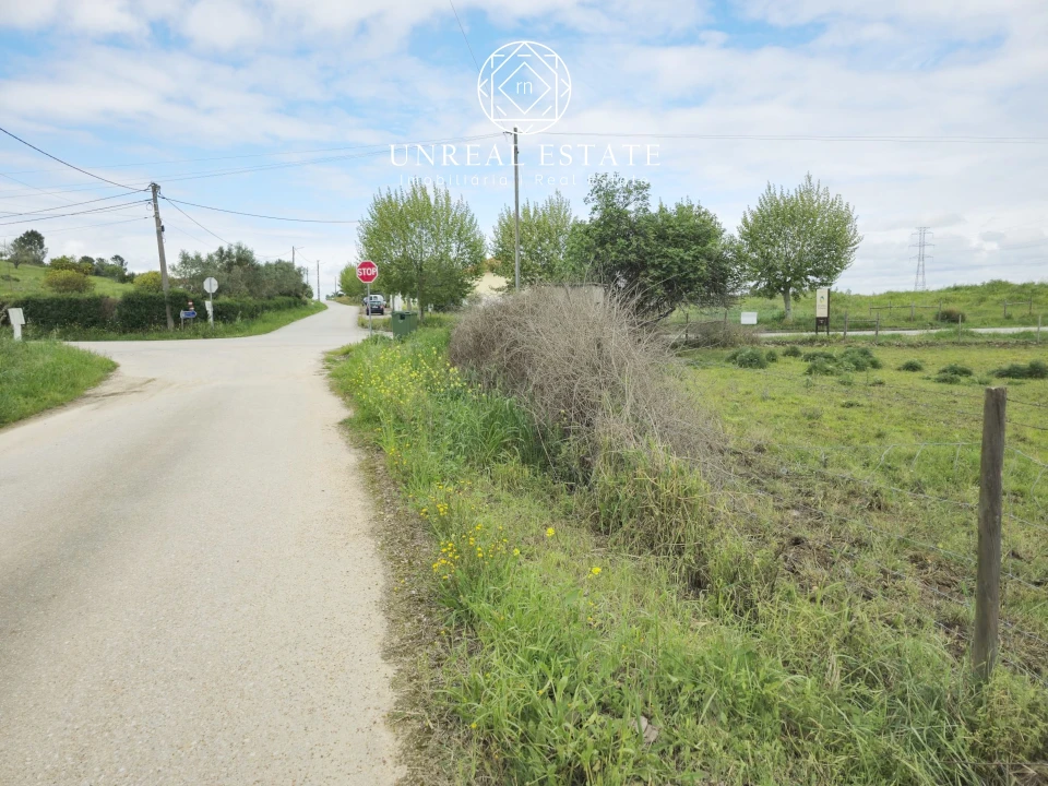 Terreno para Venda em Brogueira, Parceiros de Igreja e Alcorochel Foto 11