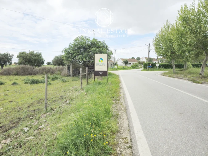 Terreno para Venda em Brogueira, Parceiros de Igreja e Alcorochel Foto 6