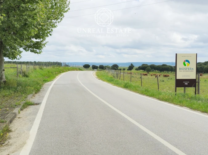 Terreno para Venda em Brogueira, Parceiros de Igreja e Alcorochel Foto 4