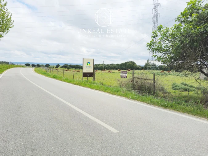 Terreno para Venda em Brogueira, Parceiros de Igreja e Alcorochel Foto 3