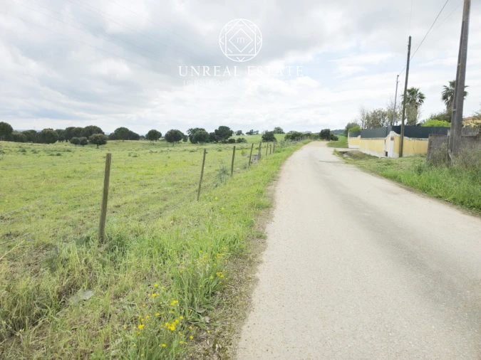 Terreno para Venda em Brogueira, Parceiros de Igreja e Alcorochel Foto 10