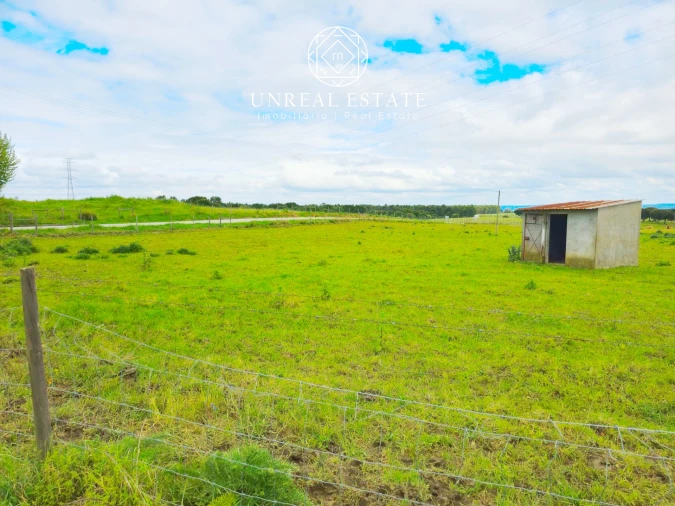Terreno para Venda em Brogueira, Parceiros de Igreja e Alcorochel Foto 12